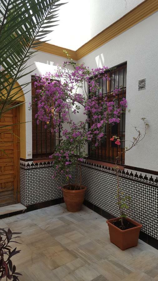 科爾多瓦Casa Tipica Cordobesa公寓 外观 照片
